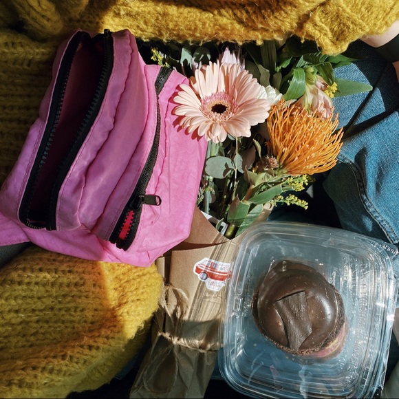 Meet your Posher, Bella - Picture 2 of 5